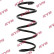 Coil Spring K-Flex RA4090 Kayaba