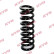 Coil Spring K-Flex RA4095 Kayaba