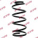 Coil Spring K-Flex RA4096 Kayaba