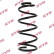 Coil Spring K-Flex RA4097 Kayaba