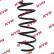 Coil Spring K-Flex RA4101 Kayaba