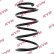 Coil Spring K-Flex RA4109 Kayaba