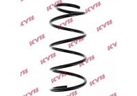 Coil Spring K-Flex RA4110 Kayaba