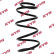 Coil Spring K-Flex RA4112 Kayaba