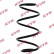 Coil Spring K-Flex RA4118 Kayaba