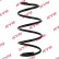 Coil Spring K-Flex RA4123 Kayaba