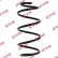 Coil Spring K-Flex RA4124 Kayaba
