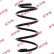 Coil Spring K-Flex RA4126 Kayaba