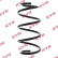 Coil Spring K-Flex RA4134 Kayaba