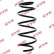 Coil Spring K-Flex RA4136 Kayaba