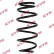 Coil Spring K-Flex RA4137 Kayaba