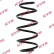 Coil Spring K-Flex RA4145 Kayaba