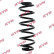 Coil Spring K-Flex RA5002 Kayaba