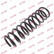 Coil Spring K-Flex RA5017 Kayaba