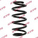 Coil Spring K-Flex RA5039 Kayaba