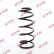 Coil Spring K-Flex RA5108 Kayaba