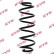 Coil Spring K-Flex RA5117 Kayaba