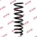 Coil Spring K-Flex RA5134 Kayaba