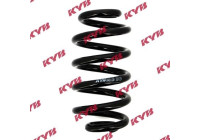 Coil Spring K-Flex RA5138 Kayaba