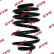 Coil Spring K-Flex RA5139 Kayaba