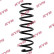 Coil Spring K-Flex RA5147 Kayaba