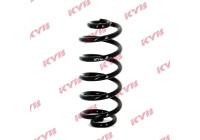 Coil Spring K-Flex RA5165 Kayaba