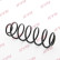 Coil Spring K-Flex RA5184 Kayaba, Thumbnail 2