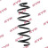 Coil Spring K-Flex RA5197 Kayaba