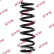 Coil Spring K-Flex RA5209 Kayaba