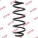 Coil Spring K-Flex RA5216 Kayaba