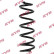 Coil Spring K-Flex RA5218 Kayaba