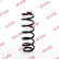 Coil Spring K-Flex RA5220 Kayaba