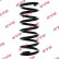 Coil Spring K-Flex RA5224 Kayaba
