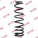 Coil Spring K-Flex RA5225 Kayaba
