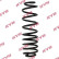 Coil Spring K-Flex RA5227 Kayaba