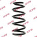 Coil Spring K-Flex RA5231 Kayaba
