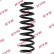 Coil Spring K-Flex RA5233 Kayaba