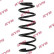 Coil Spring K-Flex RA5235 Kayaba