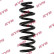 Coil Spring K-Flex RA5244 Kayaba