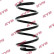 Coil Spring K-Flex RA5248 Kayaba