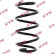 Coil Spring K-Flex RA5250 Kayaba