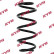 Coil Spring K-Flex RA5268 Kayaba