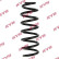 Coil Spring K-Flex RA5279 Kayaba