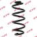 Coil Spring K-Flex RA5284 Kayaba