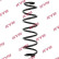 Coil Spring K-Flex RA5313 Kayaba