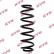 Coil Spring K-Flex RA5319 Kayaba
