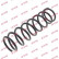 Coil Spring K-Flex RA5320 Kayaba