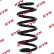 Coil Spring K-Flex RA5326 Kayaba