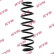 Coil Spring K-Flex RA5330 Kayaba