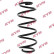 Coil Spring K-Flex RA5340 Kayaba